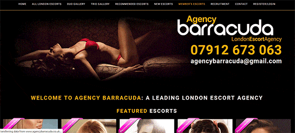 Agency Barracuda